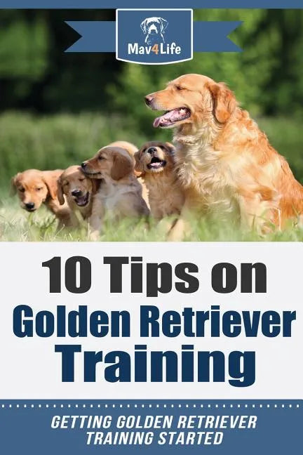 10 Tips on Golden Retriever Training: Getting Golden Retriever Training Started! - Paperback