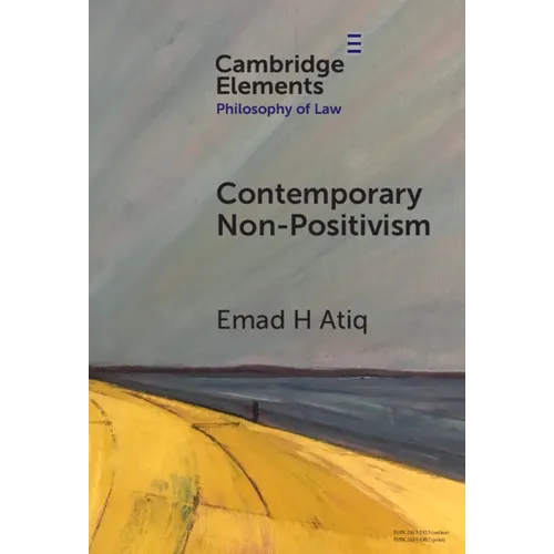 Contemporary Non-Positivism - Hardcover