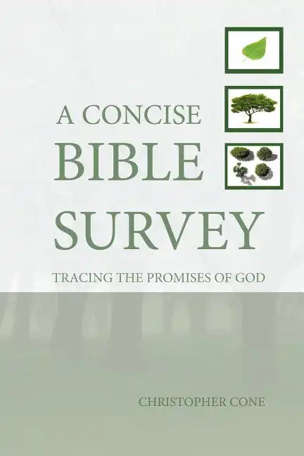 A Concise Bible Survey: Tracing the Promises of God - Paperback