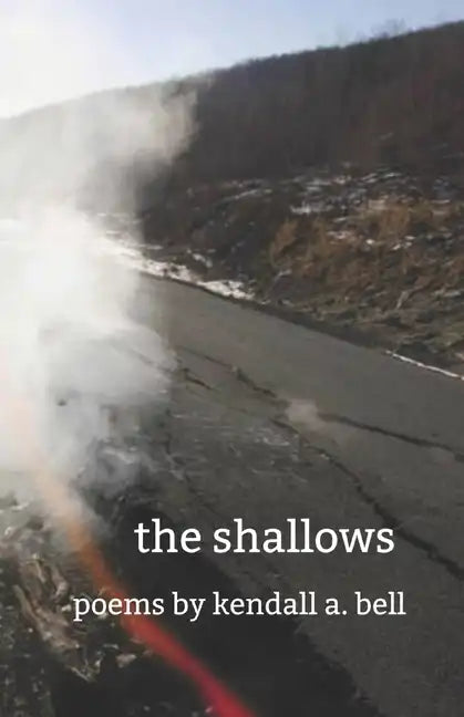 The shallows - Paperback
