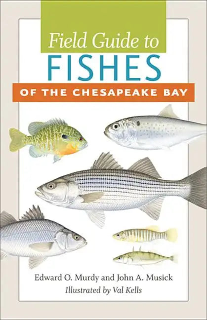 Field Guide to Fishes of the Chesapeake Bay - Paperback