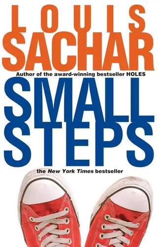 Small Steps - Paperback