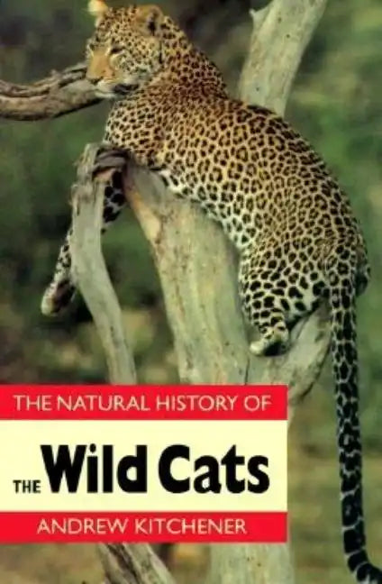 Natural History of the Wild Cats - Paperback