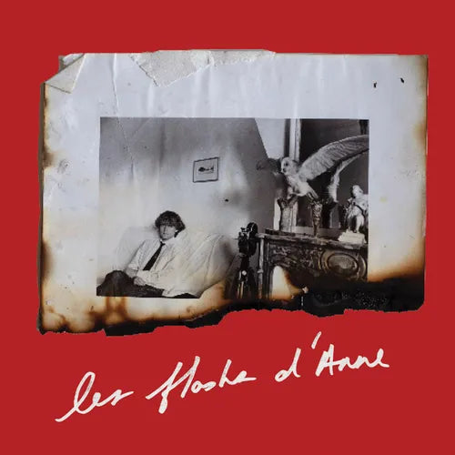 Anne Day: Les Flashes d'Anne: Friendship Among the Ashes with Hervé Guibert - Paperback