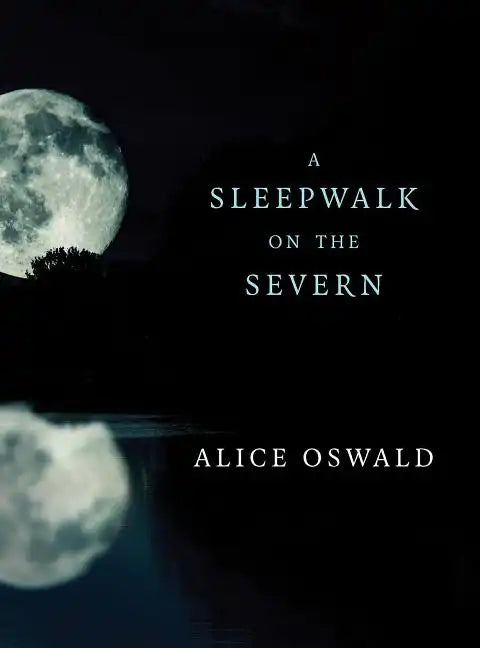 A Sleepwalk on the Severn - Paperback