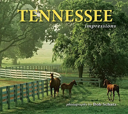 Tennessee Impressions - Paperback