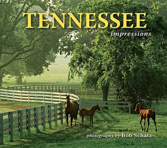 Tennessee Impressions - Paperback