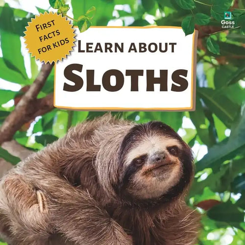 Learn About Sloths: First Facts for Kids - Paperback