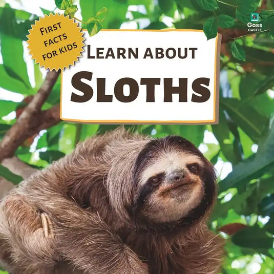 Learn About Sloths: First Facts for Kids - Paperback