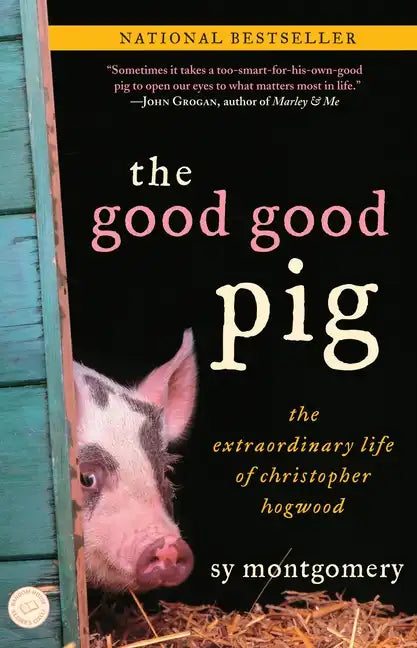 The Good Good Pig: The Extraordinary Life of Christopher Hogwood - Paperback