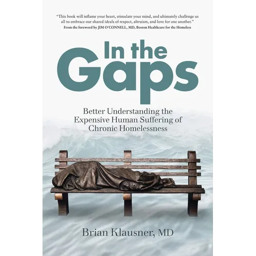 In the Gaps: Better Understanding the Expensive Human Suffering of Chronic Homelessness - Paperback