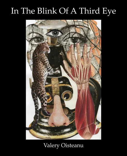 In The Blink of A Third Eye: Poetry, flash-fiction, drawing-collages - Paperback