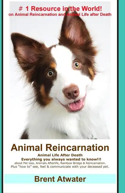 Animal Reincarnation: Everything You Always Wanted to Know! about Pet Reincarnation plus 