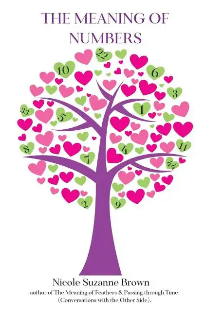 The Meaning of Numbers - Paperback