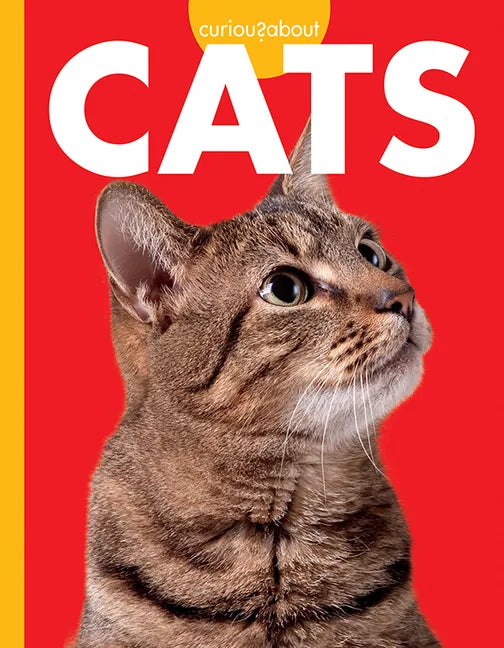 Curious about Cats - Paperback