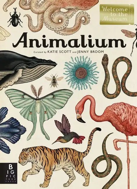 Animalium: Welcome to the Museum - Hardcover