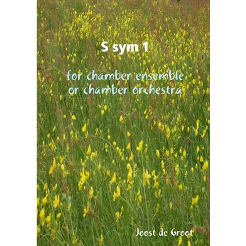 S sym 1 for chamber ensemble or chamber orchestra - Paperback
