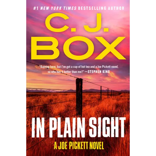 In Plain Sight - Paperback