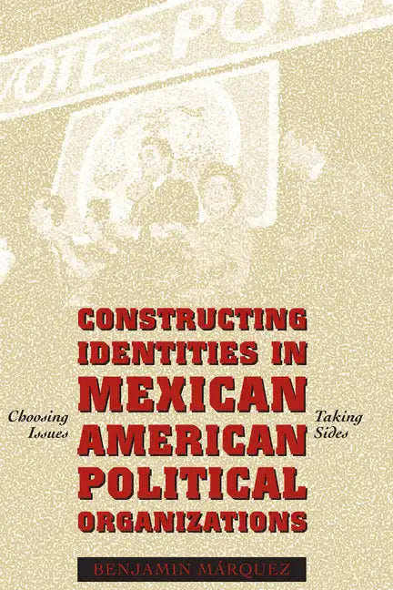 Constructing Identities in Mexican-American Political Organizations: Choosing Issues, Taking Sides - Paperback
