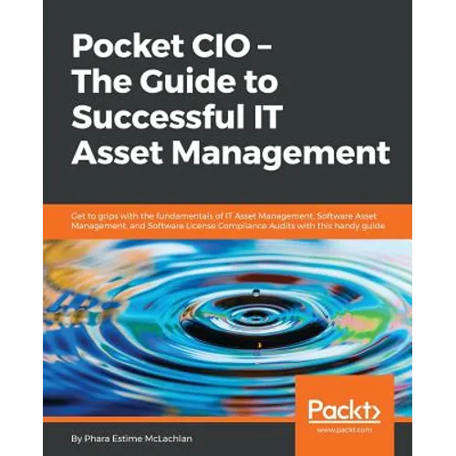 Pocket CIO: The Guide to Successful IT Asset Management - Paperback