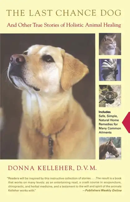 The Last Chance Dog: And Other True Stories of Holistic Animal Healing - Paperback