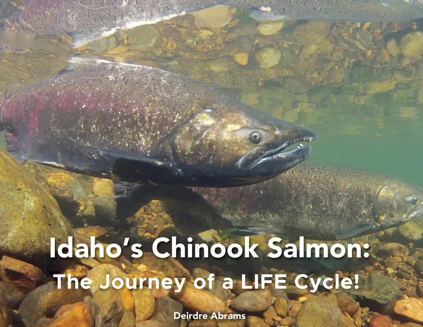 Idaho's Chinook Salmon: The Journey of a LIFE Cycle - Paperback
