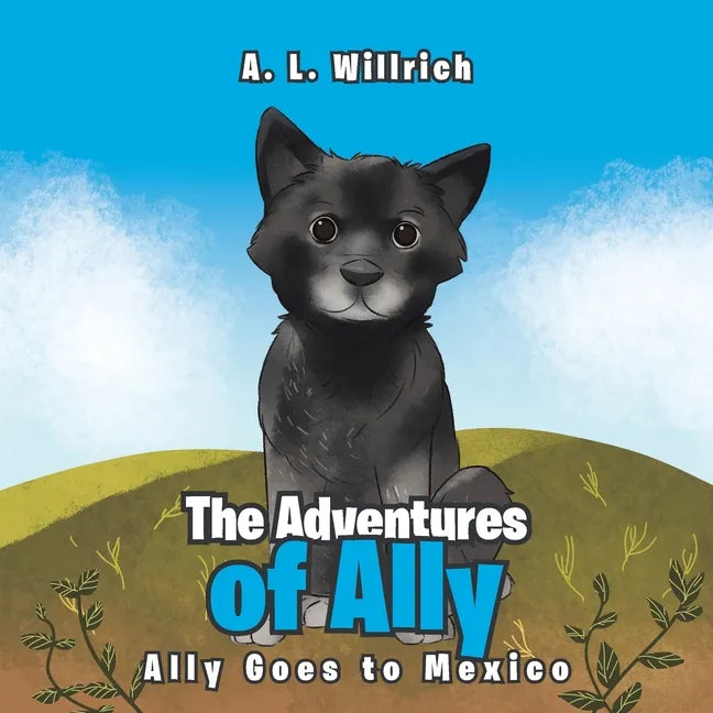The Adventures of Ally: Ally Goes to Mexico - Paperback