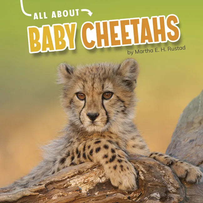 All about Baby Cheetahs - Hardcover