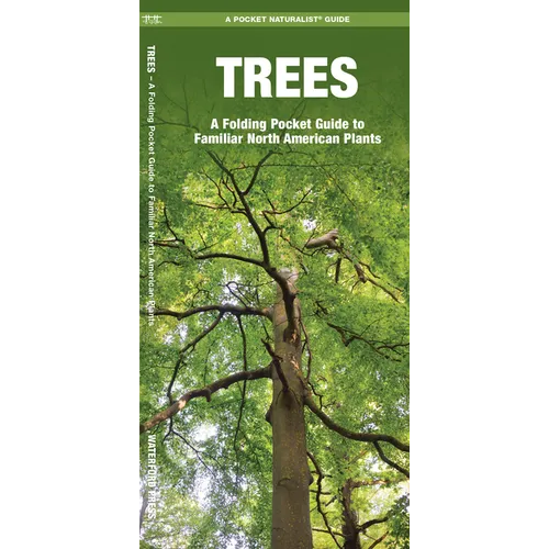 Trees: An Introduction to Familiar North American Species