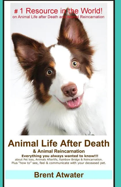 Animal Life After Death & Animal Reincarnation: Pet Loss Answers for all your heart's Questions! - Paperback