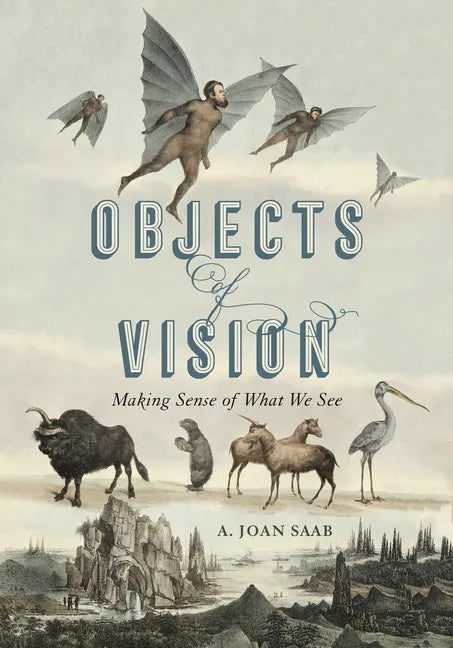 Objects of Vision: Making Sense of What We See - Paperback