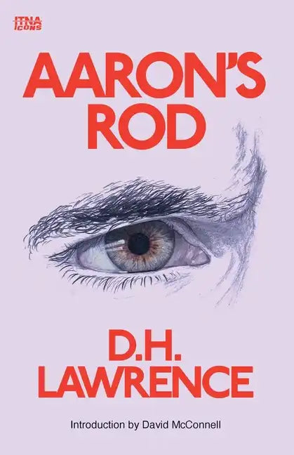 Aaron's Rod - Paperback