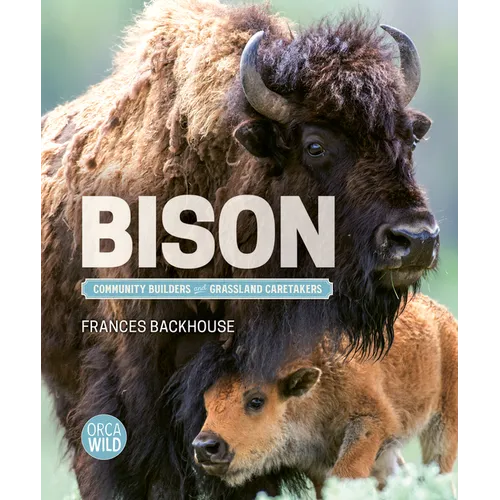 Bison: Community Builders and Grassland Caretakers