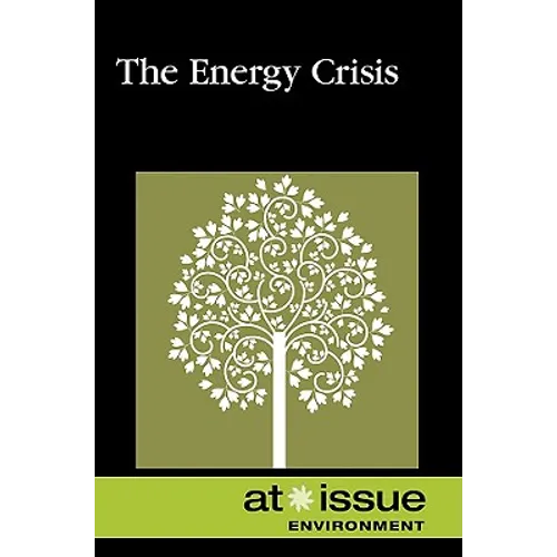 AI: The Energy Crisis -P - Paperback