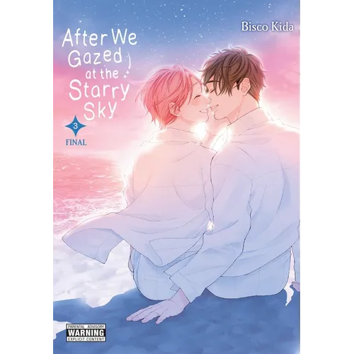 After We Gazed at the Starry Sky, Vol. 3 - Paperback