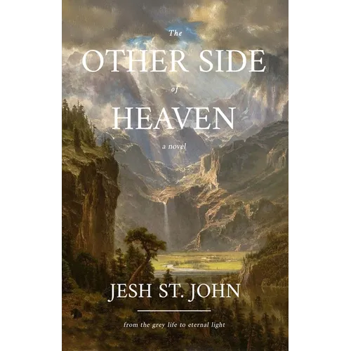 The Other Side of Heaven - A Novel: From the Grey Life to Eternal Light - Paperback