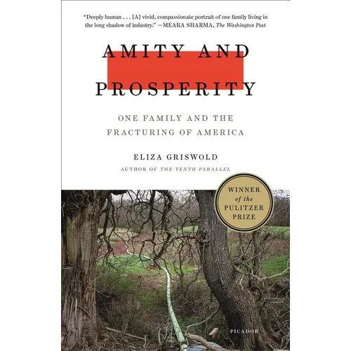 Amity and Prosperity: One Family and the Fracturing of America - Paperback