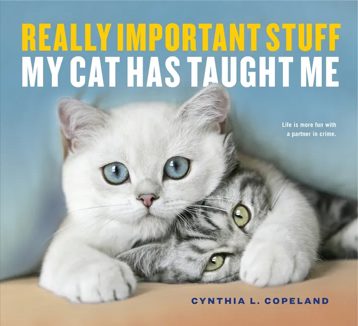 Really Important Stuff My Cat Has Taught Me - Paperback