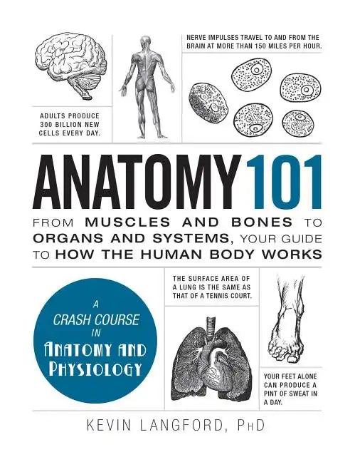 Anatomy 101: From Muscles and Bones to Organs and Systems, Your Guide to How the Human Body Works - Hardcover