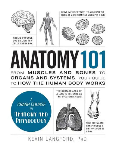 Anatomy 101: From Muscles and Bones to Organs and Systems, Your Guide to How the Human Body Works - Hardcover
