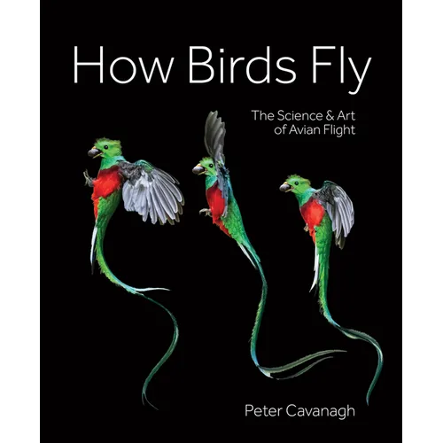 How Birds Fly: The Science and Art of Avian Flight - Hardcover