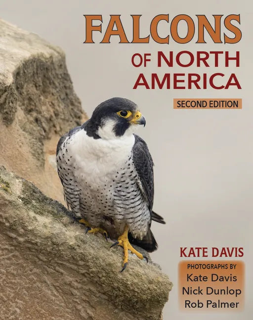 Falcons of North America - Paperback