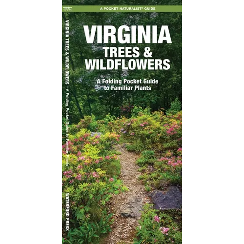 Virginia Trees & Wildflowers: An Introduction to Familiar Species - Paperback
