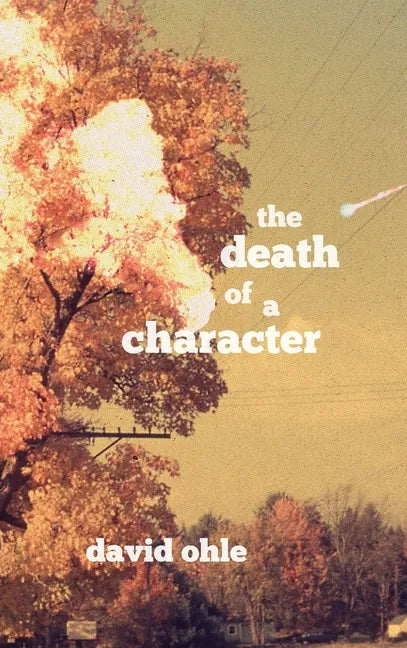 The Death of a Character - Hardcover