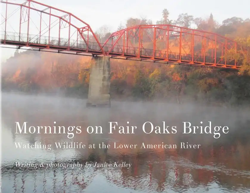 Mornings on Fair Oaks Bridge: Watching Wildlife at the Lower American River - Paperback