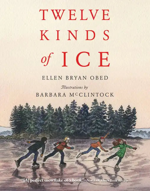 Twelve Kinds of Ice - Paperback