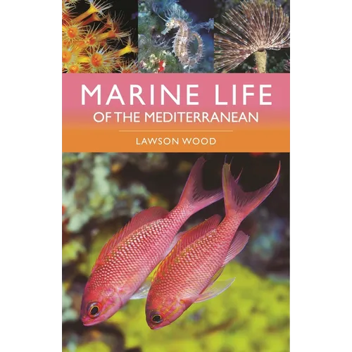 Marine Life of the Mediterranean - Paperback