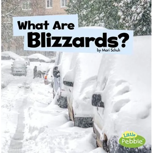 What Are Blizzards? - Paperback