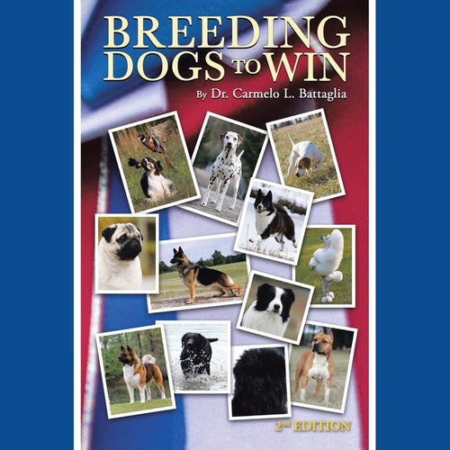 Breeding Dogs to Win - Paperback