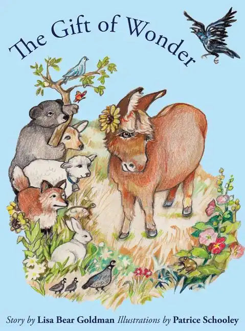 The Gift of Wonder - Hardcover